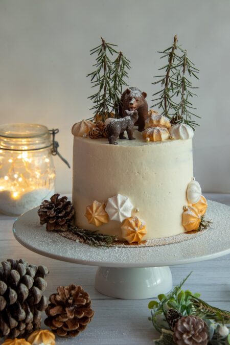 Irish Chocochip Cake